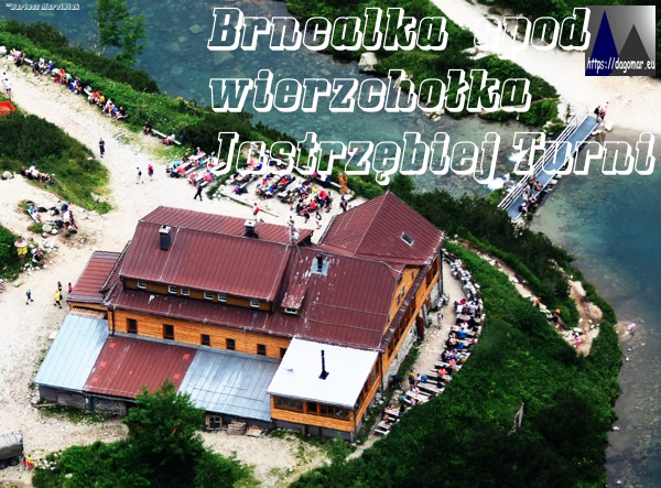 Schronisko przy Zielonym Stawie, Chata pri Zelenom plese, Brncalka z Jastrzębiej Turni
