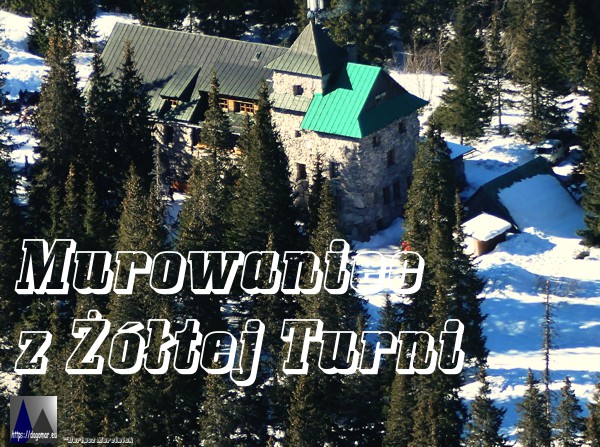Murowaniec z Żółtej Turni