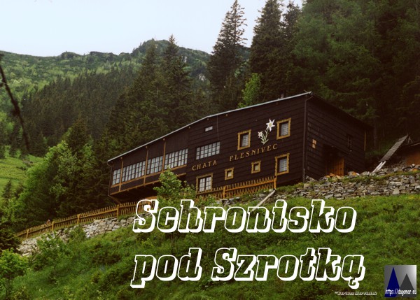 Chata Plesnivec, Schronisko pod Szarotką
