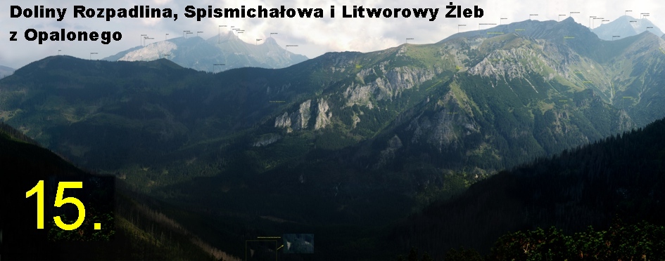 Dolina Rozpadlina, Spismichałowa i Litworowy Żleb