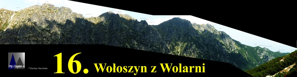 Wolarnia