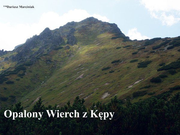 Gładkie i Opalony Upłaz