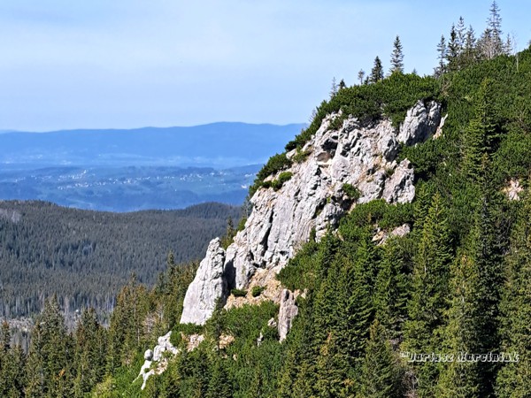Pańszczycka Skałka